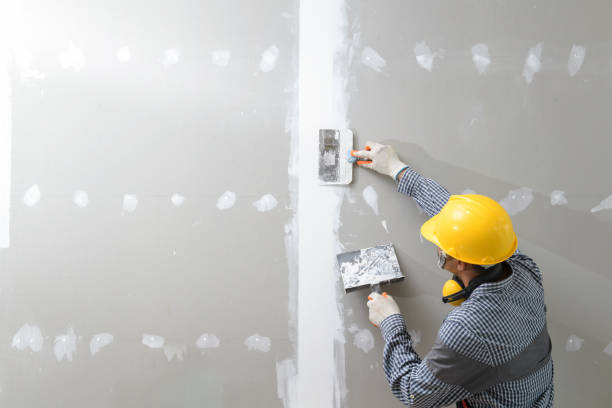 Best Crawl Space Mold Remediation  in Beloit, KS
