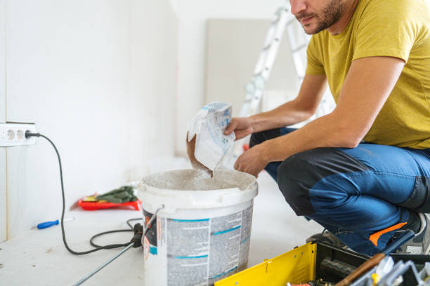 Best Mold Odor Removal Services  in Beloit, KS