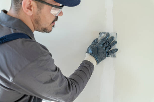Best Black Mold Removal  in Beloit, KS