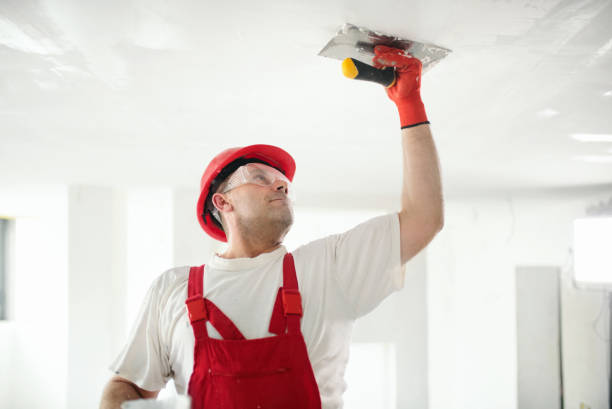 Reliable Beloit, KS Mold Removal Solutions