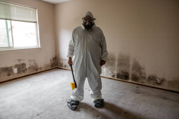 Best Residential Mold Inspection & Testing  in Beloit, KS